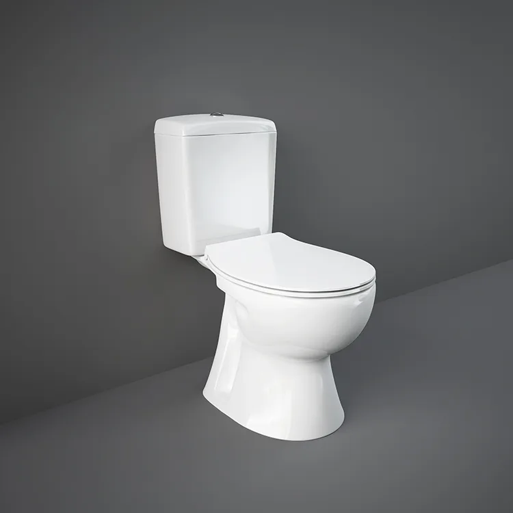 RAK-Flora Alpine White 675 x 360 mm S-trap close-coupled water closet set official product image