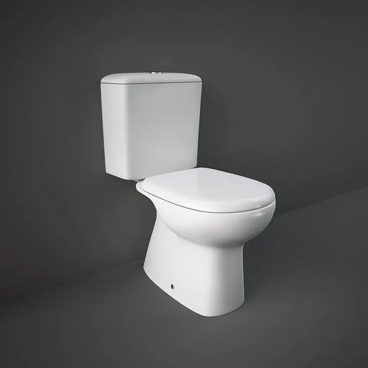 RAK-Liwa Alpine White 665 x 365 mm P-trap close-coupled water closet set official product image