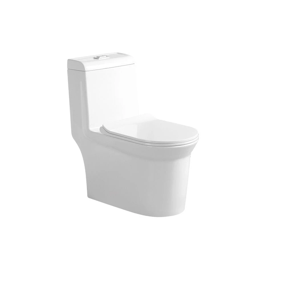 Milano Flash 1 Pc Wc S-Trap-250Mm 6289 — retailer product view